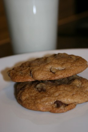 chocolatechip1.jpg