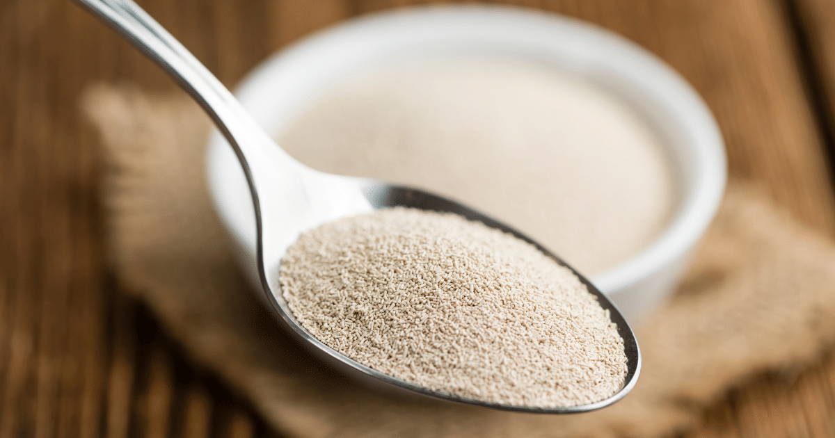 a spoonful of dry yeast above a white bowl of dried yeast sitting on a wooden cutting board
