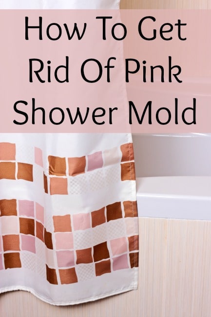 Pink Shower Mold What Is It How Do I, How To Clean Pink Mold From Shower Curtain Liner