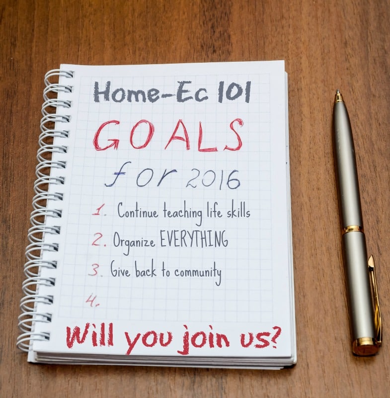 Home-Ec 101 Goals