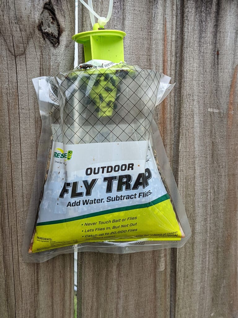 flies crawling inside of an outdoor hanging fly trap